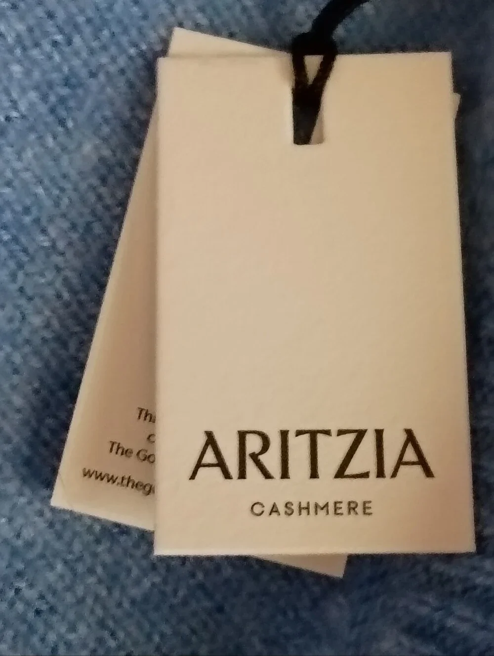Aritzia 100% Cashmere Triangle Scarf Wrap in Heather Azurine Blue One Size NWT